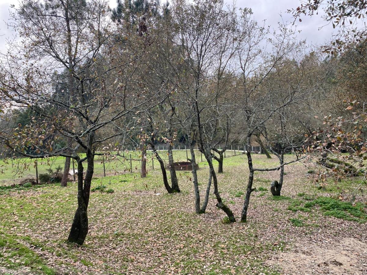 Quinas Playground Villa Souto da Carpalhosa Kültér fotó